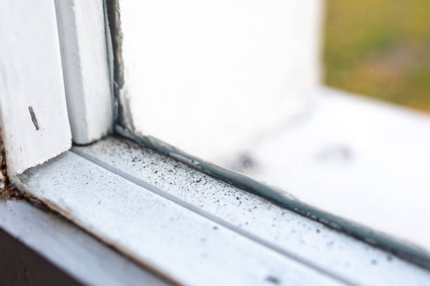 Professional Mold Removal in Agency Village, SD