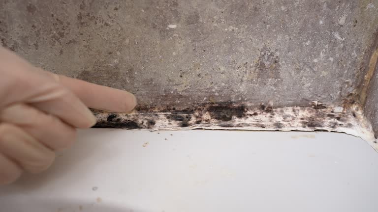 Best Mold Remediation for Healthcare Facilities  in Agency Village, SD