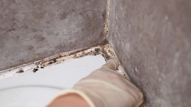 Best Mold Prevention Services  in Agency Village, SD